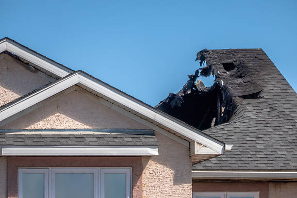 Top rated local Board Up Services specialists in Cape Coral, FL